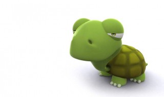 乌龟尾巴长一般是什么品种 乌龟尾巴很长是什么品种