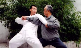 太极拳的手型 太极拳的手型包括