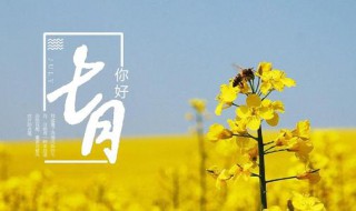 闰七月是哪一年（下一个闰七月是哪一年）