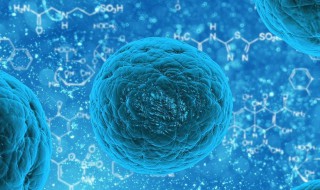 细胞膜中的磷脂分子由什么组成（细胞膜由磷脂分子和蛋白质分子构成）