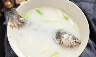 鱼汤用什么鱼（鱼汤用什么鱼好）