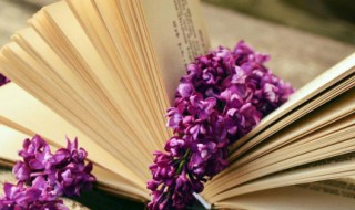 520微信朋友圈祝福语 520朋友圈祝福语句