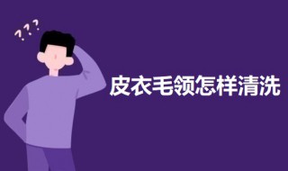 皮衣毛领脏了怎样清洗(皮毛领脏了怎么清洗)