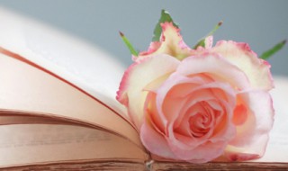 开业生意兴隆祝福语（开业生意兴隆祝福语大全）