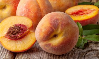 桃子怎么选公母（桃子怎么挑公母）