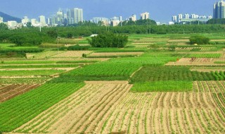 一亩地是多大（一亩地是多大?）