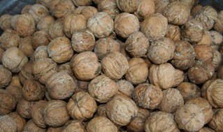 核桃怎么剥壳好剥 核桃怎么剥壳好剥的快