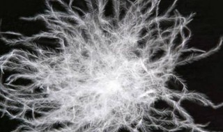 自家鹅绒怎么消毒（自家鹅绒怎么消毒才能做被子）