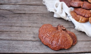 干灵芝保质期多久 干灵芝保质期多久?