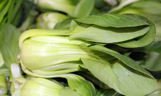 瓢儿白是什么 四川的瓢儿白是什么