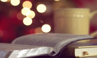 蕾组词（蕾组词两个字）