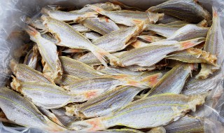 家庭晒鱼干不用盐腌制可以吗（晒鱼干用盐腌多久）
