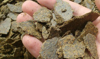 菜籽饼钓鱼打窝配方（菜籽饼钓鱼打窝配方视频）