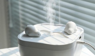 如何增加空气湿度(如何增加空气湿度到90%)