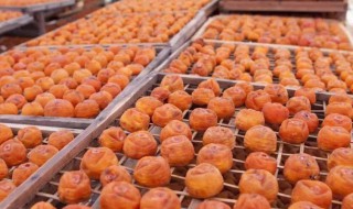 晒柿饼时长绿霉还能要吗（晒柿饼上面发绿霉了还能吃吗）