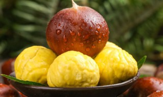 板栗可以放微波炉里烤吗 板栗可以放微波炉里烤吗怎么烤