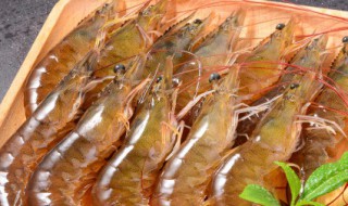 海白虾是海虾吗 海白虾是海水虾吗