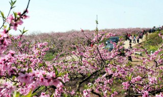 春月是几月份(春月是什么月份)