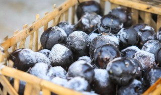 冻梨解冻需要多久 冻梨解冻需要多久再去冻