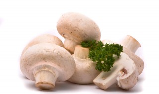 冻蘑菇能吃吗（冻蘑菇能吃吗怎么吃）