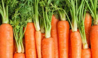 胡萝卜中间发绿能吃吗（胡萝卜中间绿了能吃吗）