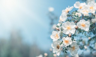 微信名字昵称好听（微信名字昵称好听三个字）