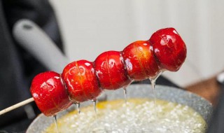 糖葫芦放冰箱里为什么会化（糖葫芦放冰箱里为什么会化开）