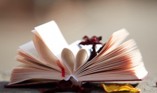 吠怎么读（吠怎么读 拼音）