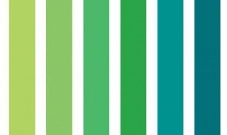 绿色种类（绿色的种类及色卡图片）