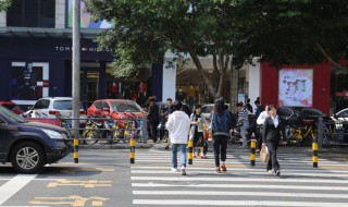 斑马线是怎么来的 斑马线是怎么来的作文