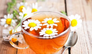 菊花过期还能喝吗 菊花过期还能喝吗现在