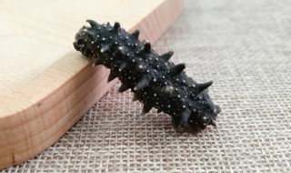 发好的海参怎么吃 发好的海参怎么吃最有营养