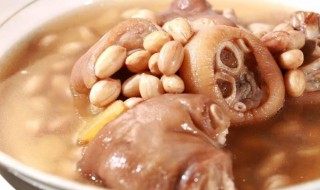 十大胶原蛋白食物（十大胶原蛋白食物有哪些）