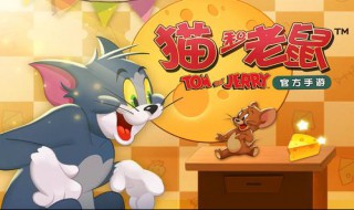 剑客杰猫什么意思