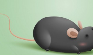 老鼠怕光吗 老鼠怕光吗开灯睡