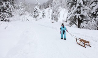 雪的形状是什么样子的 雪的形状是什么样子的图片