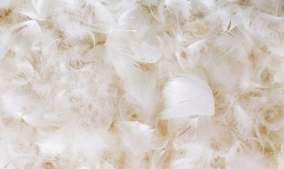 羽绒被一坨一坨怎么办 羽绒被一坨一坨怎么办小窍门