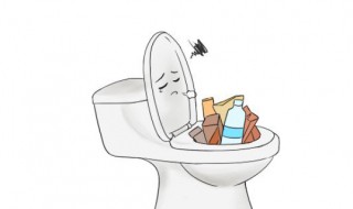 茶叶倒进马桶会堵住吗（茶叶会不会堵住马桶）