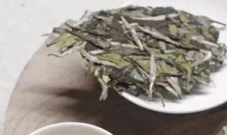 白茶冷藏还是冷冻（白茶放冷藏保鲜还是冷冻保鲜好）