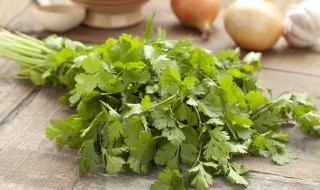 香菜太多吃不完怎处理（香菜太多吃不完怎处理好）