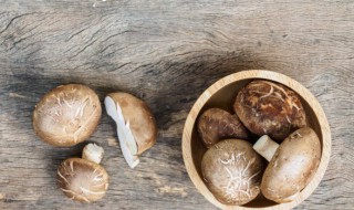 香菇焯水后的冷冻保存法（香菇焯水后的冷冻保存法2022年还有扎疫苗的吗）