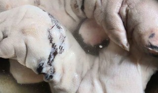 肉焯水后过不过凉水 肉焯水后要过凉水吗