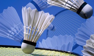 羽毛球熏球器使用方法 羽毛球熏球器使用方法视频