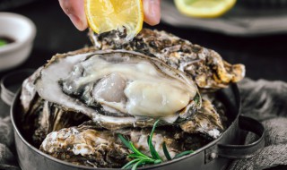 生蚝存放冷藏还是冷冻（生蚝存放冷藏还是冷冻好）