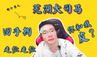 皮燕子是什么 皮燕子的由来