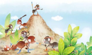 红蚂蚁的特点（《昆虫记》中红蚂蚁的特点）