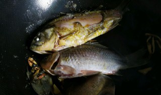 如何做鲫鱼刺不硬（如何做鲫鱼刺不硬滑）