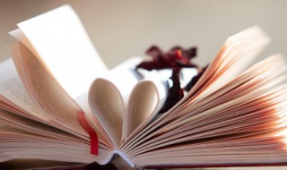 关于团队精神的正能量句子有哪些 关于团队精神的正能量句子有哪些简短