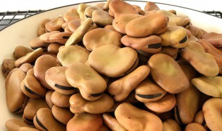 如何做桂皮蚕豆（陈皮蚕豆怎么做）