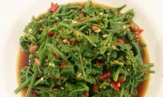 凉拌水蕨菜如何做 凉拌水蕨菜如何做好吃